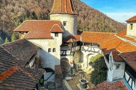 Sibiu: Dracula's Castle and Brasov Day Roundtrip Day Tour