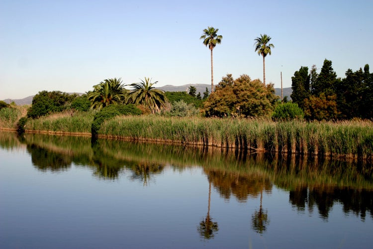 Barcelona. Nature in Delta del Llobregat. El Prat. Spain