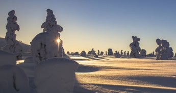 Finland - Northern Light Adventure - 7 days