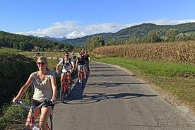 Passeio de bicicleta e degustação de vinhos