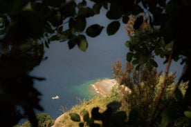 Senderismo ecológico guiado y cata de vinos con vistas al mar en el parque Portofino