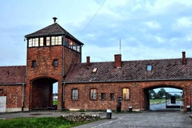 Kraków: Auschwitz-Birkenau Private Tour & Transportation