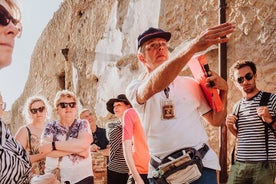 Tour di Pompei ed Ercolano in un piccolo gruppo con archeologo escursione con trasporto condiviso 