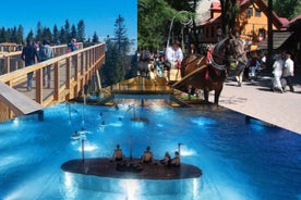 From Krakow: Slovakia Treetop Walk, Zakopane & Thermal Spa