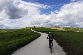 EBike tour com degustação de vinhos orgânicos