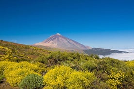 Marcher sur la lune autour du volcan Teide à Tenerife