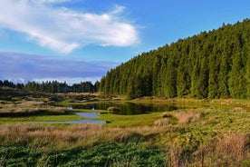 Tour di un'intera giornata alle lagune e ai vulcani dell'isola di Terceira