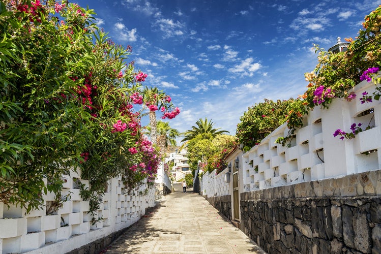 Photo of flowered alley street in Los Gigantes residential area Tenerife, Spain.