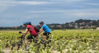 Cycle Provence