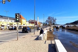 Algarve vínsmökkun Sameiginleg upplifun á Mercado Municipal de Silves