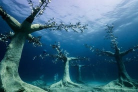 Musan Underwater Park Adventure Dive Découvrez la plongée sous-marine