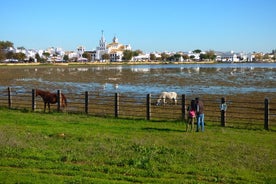 Parc national de Doñana en 4x4 et El Rocío