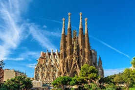 Barcelona in 1 dag: Sagrada Familia, Park Guell, oude binnenstad en ophalen