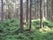V Podolánkách, Čeladná, okres Frýdek-Místek, Moravskoslezský kraj, Moravia-Silesia, Czechia