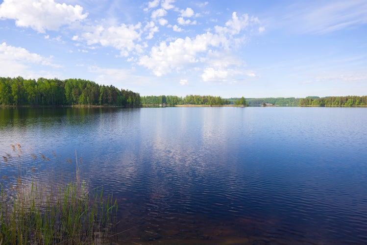 photo of view A June morning on the Pappilanlahti lake. Surroundings of Ruokolahti, Finland.