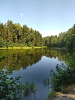 Piačerski Forest Park