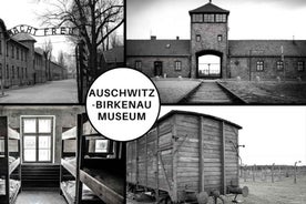 Auschwitz-Birkenau: Museum Entry Ticket with Guided Tour