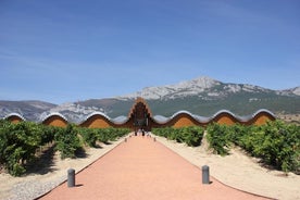 Rioja Full Experience Tour fra San Sebastian med lunsj