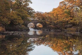 La rencontre des eaux, Dinis Island, les lacs de Killarney (minimum 6 personnes)