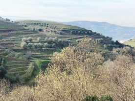 Best Time To Visit the Douro Valley: Exploring Portugal’s Wine Region