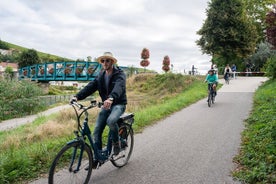 Depuis Reims journée à vélo électrique en Champagne & déjeuner 