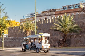 Expert Tour of Seville in Private Eco Tuk Tuk