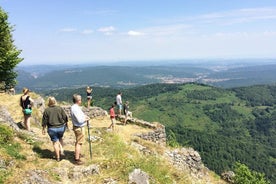 Excursion d'une journée à Montségur et Mirepoix. Visite privée au départ de Toulouse.