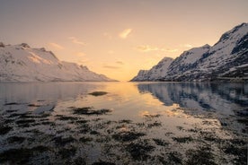 Uppgötvaðu firðina í Kvaløya – bílferðalag um firði og sjávarþorp