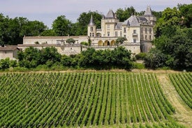 Excursão de dia inteiro Saint Emilion e Margaux