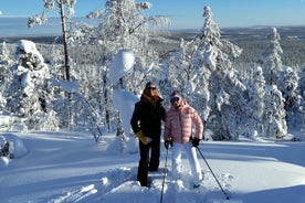 Private Snowshoeing in Levi