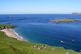 Observation des dauphins et des baleines (4h) + Débarquement sur l'île de Blasket (3h)