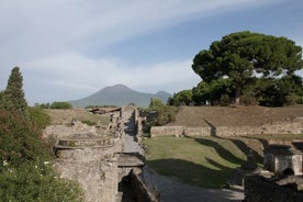 Private tour Pompeii Vesuvius and Winery from Sorrento