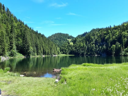 photo of  view of Taubensee,Gemeinde Kössen Austria.