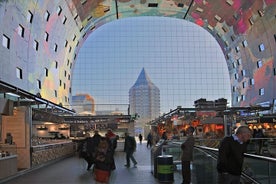 Tour guidato a piedi di 2 ore di Rotterdam