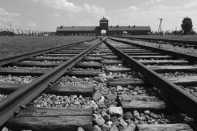 Excursão guiada a Auschwitz-Birkenau saindo de Cracóvia