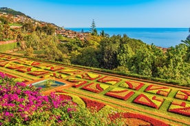 Aerial drone view of Camara de Lobos village, Madeira.