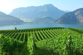 Halbtägiger Spaziergang am Vierwaldstättersee