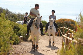 Algarve - Exklusives Reiten in Portimao (keine Vorkenntnisse erforderlich)