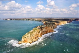 Birding di un giorno lungo la costa settentrionale del Mar Nero