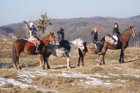 Cinq heures de balade à cheval extrême dans la ville de Lviv pour les cavaliers expérimentés