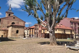 Guided tour in León