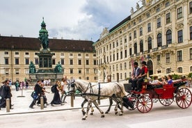 Einkabein flutningur frá Bratislava til Vínarflugvallar