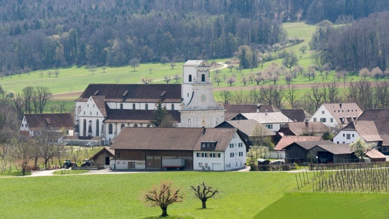 photo of Mariastein Abbey in Mariastein ,Switzerland.