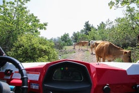 Self-drive Off Road Buggy