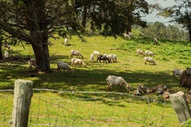 TREKKING JAIZKIBEL - Aventura privada al aire libre