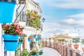 8-Day Spain Tour from Madrid: Cordoba, Seville, Ronda, Costa del Sol, Granada and Toledo