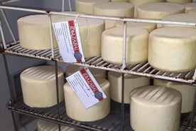 Visite du fromage Idiazabal au départ de Saint-Sébastien