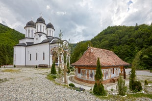 Turnu Monastery