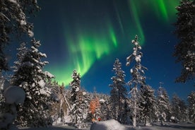 Aurora Borealis Picnic i Rovaniemi