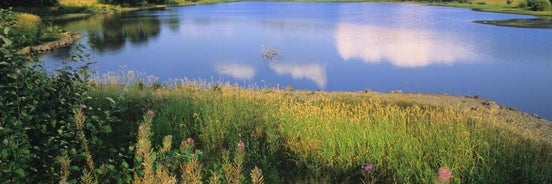 O - Sancy Résidence de Tourisme